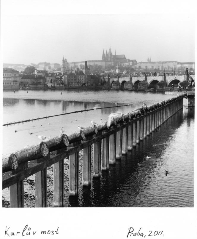 Дмитрий Быков фотография #16