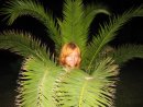 Фотография Дубыниной Екатерины