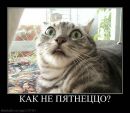 Фотография Андрей Спирин