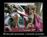 Олександр Вілюк фотография #14 (источник - https://vk.com/id139511011)