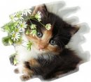 Саша Димінський фотография #31 (источник - https://vk.com/id71294205)