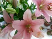 Фотография Макаровой Анны