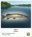 Вадім Цейко фотография #7 (источник - https://vk.com/id62605021)