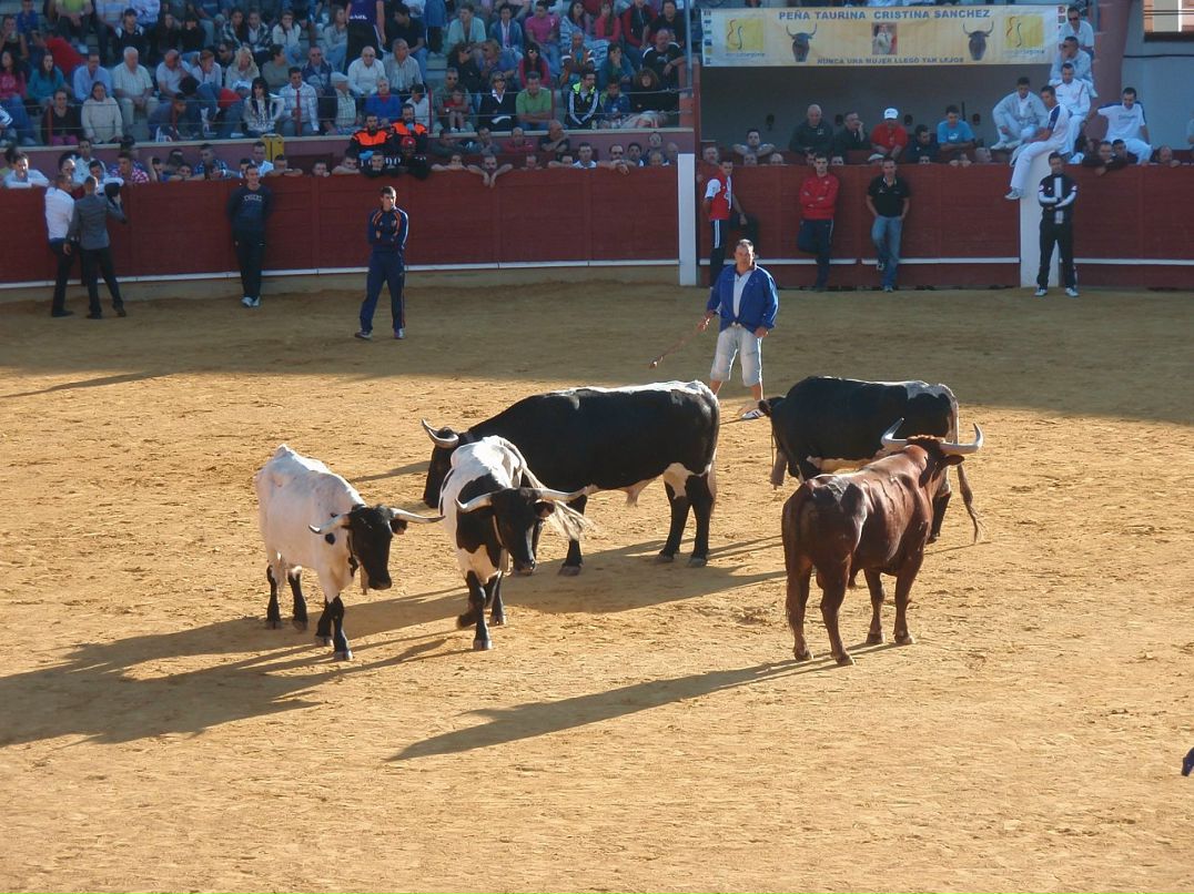 Daniel Camacho фотография #25