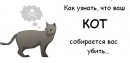 Дмитрий Тимченко фотография #49 (источник - https://vk.com/id4483760)