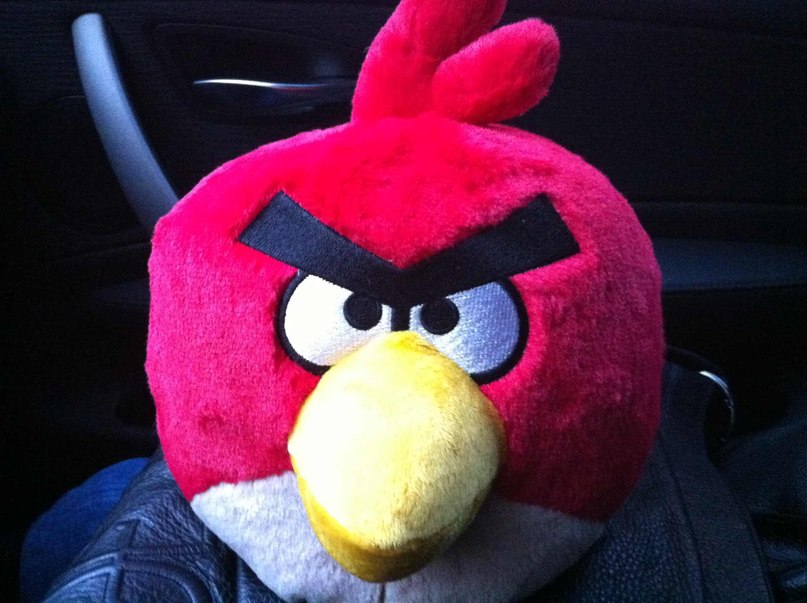 Антонов Алексей фотография #41