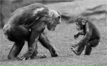 Фотография Чепурного Андрея