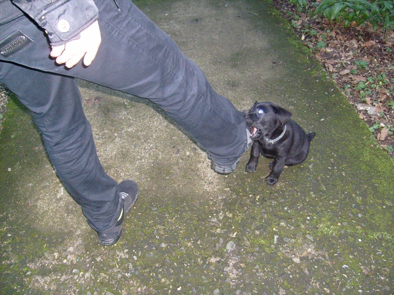 Дмитрий Белый фотография #23