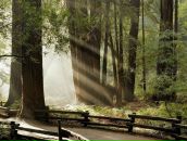 Фотография Тымивы Ирины