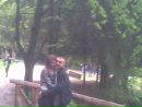 Калина Побігушка фотография #35 (источник - https://vk.com/id40473418)