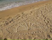 Дмитрий Селентьев фотография #28 (источник - https://vk.com/id418168)