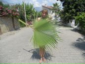 Фотография Мело Де Оливейры Татьяны