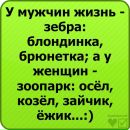 Віка Бега фотография #30 (источник - https://vk.com/id45408529)