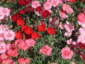 Фотография Макеевой Натальи