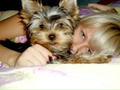 Фотография Чащиной Татьяны