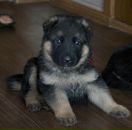 Фотография Ильенко Евгения