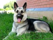 Фотография Ильенко Евгения