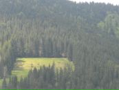 Христина Вівчарик фотография #38 (источник - https://vk.com/id56368437)