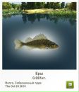 Андріан Береза фотография #32 (источник - https://vk.com/id84799487)