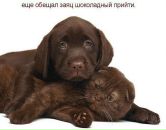 Фотография Воробьевой Натальи