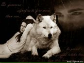 Kiprian Hlas фотография #30 (источник - https://vk.com/id151009735)