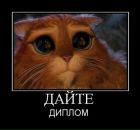 Фотография Гаврош Наташки