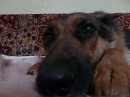 Аніка Селіна фотография #23 (источник - https://vk.com/id43182635)