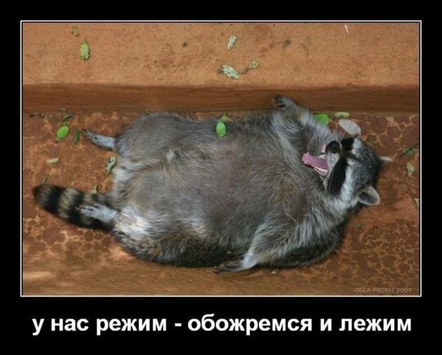 Николай Глобин фотография #41