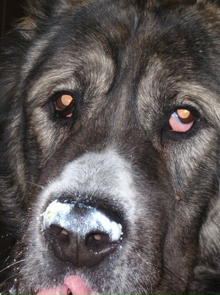 Нелли Маг фото №11