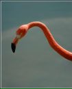 Фотография Лебедевой Софьи