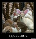 Фотография Козлова Вера