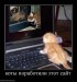  фотография #30
