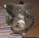 Фотография Демидюка Алексея