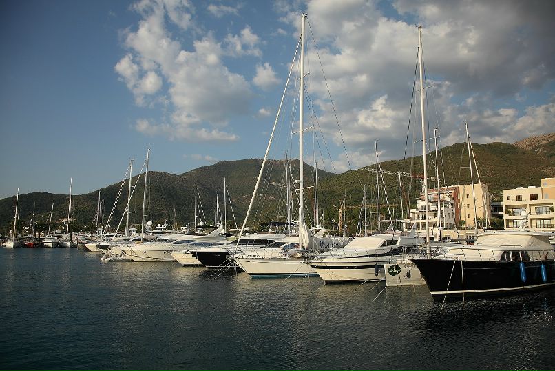 Дмитрий Старицын фотография #38