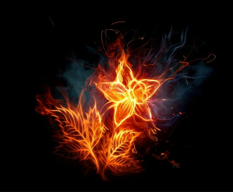 Александр Харитонов фотография #9