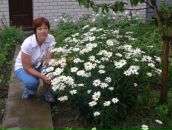 Галина Міхеєва фотография #1