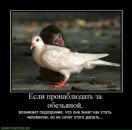 Фотография Валериной Ирины