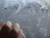 Фотография Криволаповой Маргариты