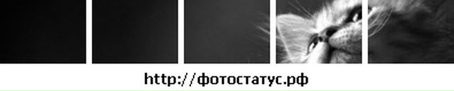 Іра Пікальова фотография #50 (источник - https://vk.com/id100515424)