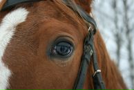 Фотография Ковалевой Натальи