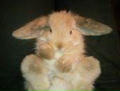 Фотография Зотько Александры