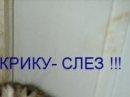 Віка Костевка фотография #19 (источник - https://vk.com/id151551439)