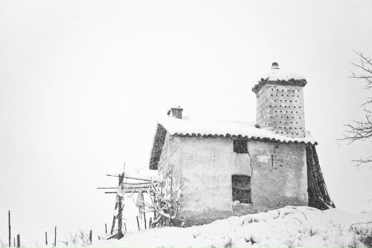 Денис Иллай фотография #33