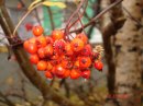 Фотография Васильевой Татьяны