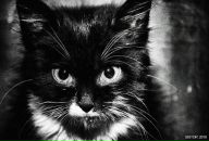 Фотография Рассказовой Галины