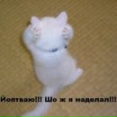 Фотография Мединской Анастасии