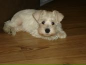 Фотография Кузиной Татьяны