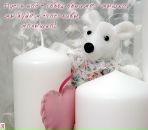 Фотография Агибаловой Екатерины