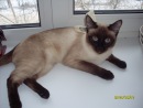 Фотография Шигариной Марины