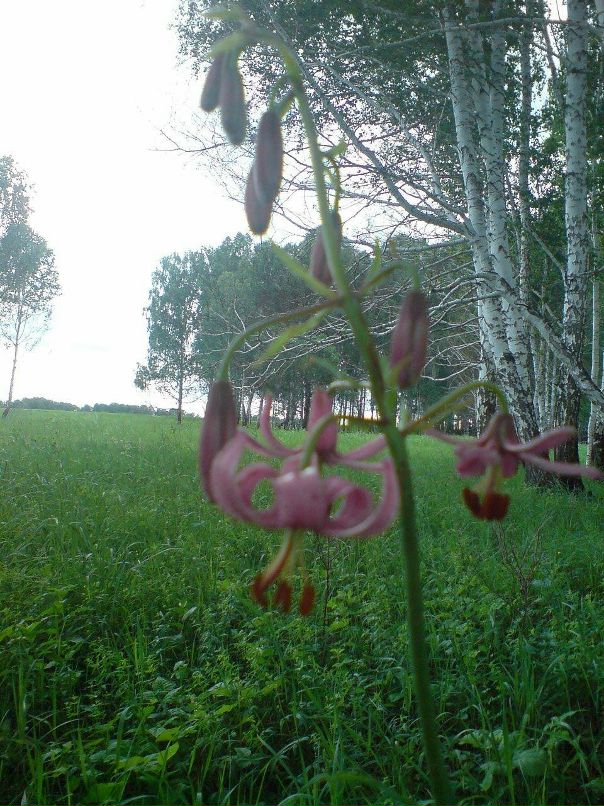 Дмитрий Федуленко фотография #11